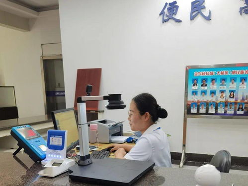 嘉興科技城大橋鎮便民服務中心公用事業服務窗口正式啟用，提供全域通辦與信息技術咨詢服務
